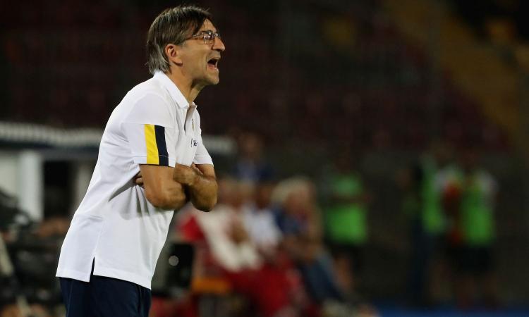 Notizie Napoli Verona, Juric: 'Miracoli di Meret, ma i miei attaccanti devono svegliarsi' | Serie A 7 Verona, Juric: 'Miracoli di Meret, ma i miei attaccanti devono svegliarsi'