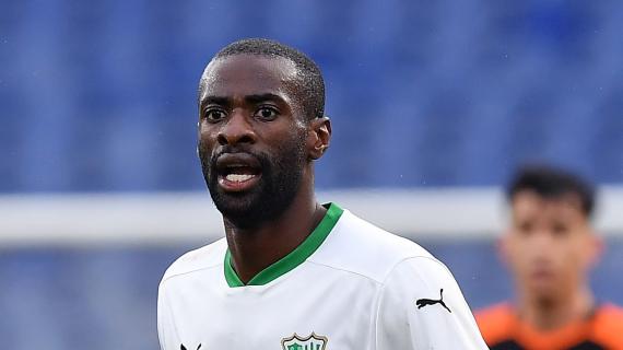 Napoli, centrocampo da completare: adesso Giuntoli pensa a Obiang 6 Napoli, centrocampo da completare: ora Giuntoli pensa a Obiang