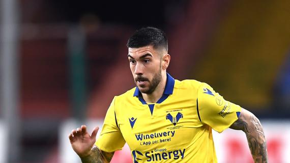 Hellas Verona, Zaccagni può effettuare il rinnovo de nonostante l'interesse di Napoli e Fiorentina 18 Hellas Verona, Zaccagni può rinnovare nonostante l'interesse di Napoli e Fiorentina