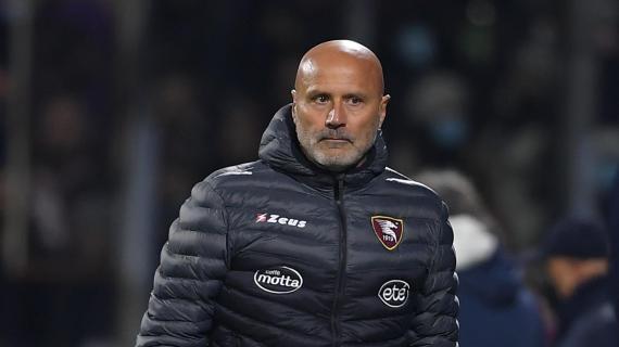 Colantuono: "Non mi piacciono questi regolamenti del Covid, c'è da limare qualche cosa" 3 Colantuono: "Non mi piacciono questi regolamenti del Covid, c'è da limare qualcosa"