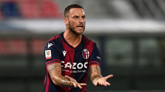 Le ultime sul Bologna in vista del Napoli: Barrow in parte col gruppo, differenziato per Arnautovic