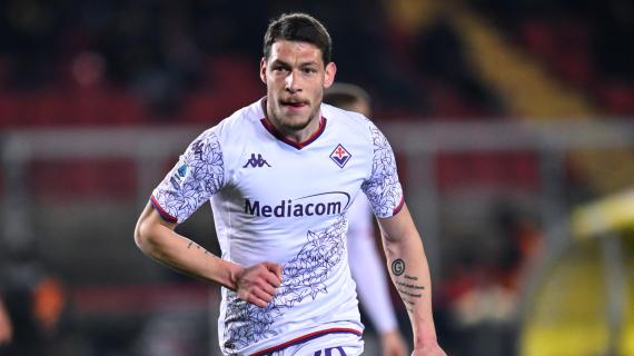 Fiorentina, la domenica di Belotti: il Gallo per rialzare la cresta 19 Fiorentina, la domenica di Belotti: il Gallo per rialzare la cresta