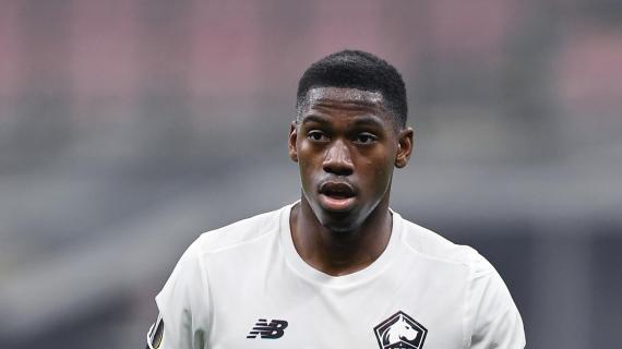 Lille, David non pensa al futuro: "Ne parleremo a fine stagione". Il Napoli è in agguato