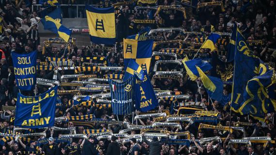 Nuova iniziativa del Verona: contro il Milan in 7 entreranno sul terreno di gioco con cuccioli meticci 7 Nuova iniziativa del Verona: contro il Milan in 7 entreranno in campo con cuccioli meticci