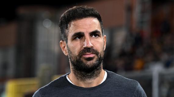 Fabregas sul futuro: "Devo comprendere ove vogliamo andare ma la priorità è il Como" 20 Fabregas sul futuro: "Devo capire dove vogliamo andare ma la priorità è il Como"