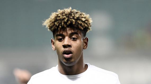 Hellas Verona a caccia di un attaccante: Geubbels il sogno, Cheddira e Kofler alternative
