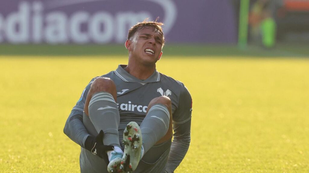 Verona a rischio ultima spiaggia senza plusvalenze a gennaio 8 Verona a rischio ultima spiaggia senza plusvalenze a gennaio