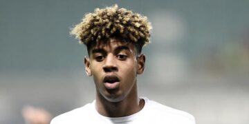 Hellas Verona a caccia di un giocatore offensivo: Geubbels il sogno, Cheddira e Kofler altre soluzioni 6 Hellas Verona a caccia di un attaccante: Geubbels il sogno, Cheddira e Kofler alternative